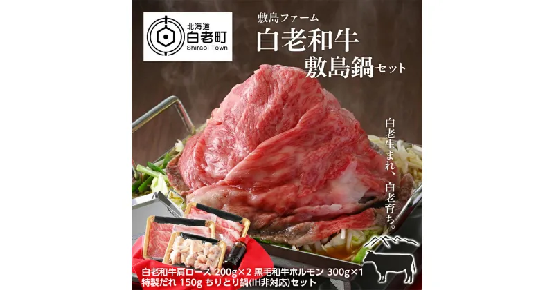 【ふるさと納税】白老和牛 敷島鍋セット《敷島ファーム》牛肉 黒毛和牛 肩ロース すきしゃぶ 牛ホルモン セット ちりとり鍋 炒め煮 鍋料理 北海道ふるさと納税 白老 ふるさと納税 北海道