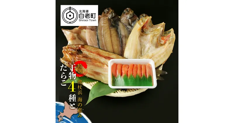 【ふるさと納税】【特選・虎杖浜】 海の恵み干物4種とたらこセットたらこ タラコ 干物 一夜干し ほっけ ホッケ カレイ 鰈 イカ いか キンキ セット 北海道 北海道ふるさと納税 白老 ふるさと納税 北海道