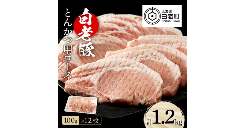 【ふるさと納税】 北海道産 白老豚 ロース とんかつ用 100g×12枚ロース ロース肉 豚ロース 豚肉 白老豚 白老 北海道 北海道ふるさと納税 白老 ふるさと納税 北海道