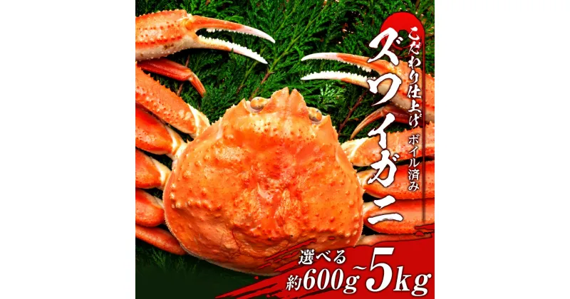 【ふるさと納税】ズワイガニ 姿 ボイル 済 冷凍 選べる約600g～4kg 1尾～5尾 ずわい 蟹 カニずわいがに ズワイガニ ずわい蟹 ずわいガニ ズワイかに ずわいカニ 蟹 姿 カニ ボイル ズワイ姿 北海道ふるさと納税 白老 ふるさと納税 北海道