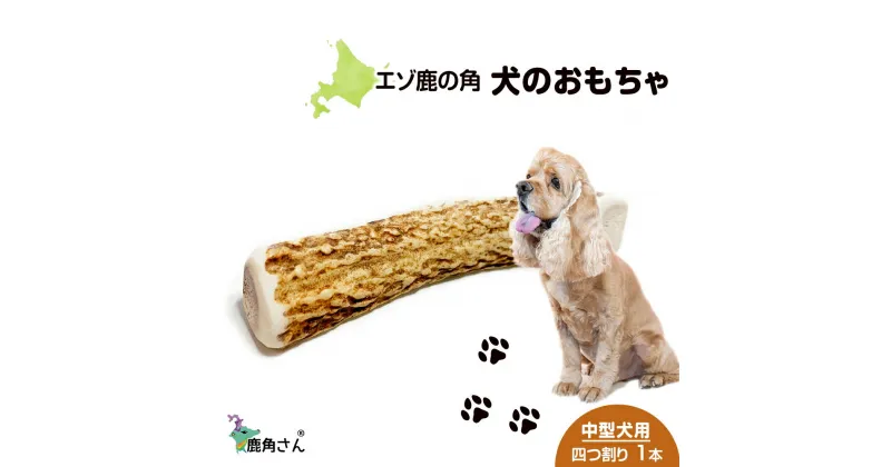 【ふるさと納税】鹿の角 エゾシカ 犬のおもちゃ 『鹿角さん』 中型犬用　四つ割り　1本犬 ペット おもちゃ 鹿角 エゾシカ ドッグガム 北海道 北海道ふるさと納税 白老 ふるさと納税 北海道