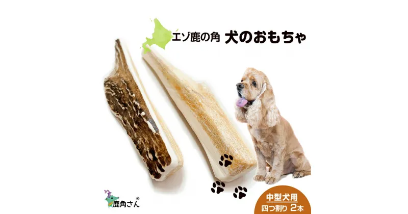 【ふるさと納税】鹿の角 エゾシカ 犬のおもちゃ 『鹿角さん』 中型犬用　四つ割り　2本セット犬 ペット おもちゃ 鹿角 エゾシカ ドッグガム 北海道 北海道ふるさと納税 白老 ふるさと納税 北海道