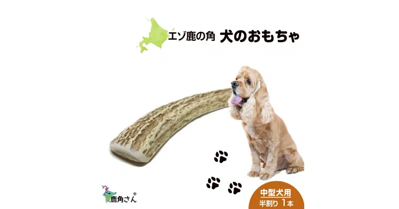 【ふるさと納税】鹿の角 エゾシカ 犬のおもちゃ 『鹿角さん』 中型犬用　半割り　1本犬 ペット おもちゃ 鹿角 エゾシカ ドッグガム 北海道 北海道ふるさと納税 白老 ふるさと納税 北海道