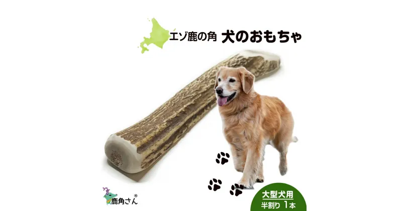 【ふるさと納税】鹿の角 エゾシカ 犬のおもちゃ 『鹿角さん』 大型犬用　半割り　1本犬 ペット おもちゃ 鹿角 エゾシカ ドッグガム 北海道 北海道ふるさと納税 白老 ふるさと納税 北海道