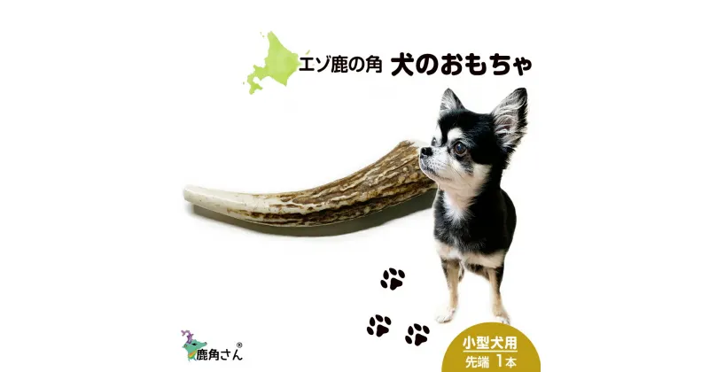 【ふるさと納税】鹿の角 エゾシカ 犬のおもちゃ 『鹿角さん』 小型犬用　先端　1本犬 ペット おもちゃ 鹿角 エゾシカ ドッグガム 北海道 北海道ふるさと納税 白老 ふるさと納税 北海道