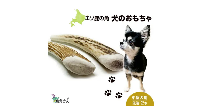 【ふるさと納税】鹿の角 エゾシカ 犬のおもちゃ 『鹿角さん』 小型犬用　先端　2本セット犬 ペット おもちゃ 鹿角 エゾシカ ドッグガム 北海道 北海道ふるさと納税 白老 ふるさと納税 北海道