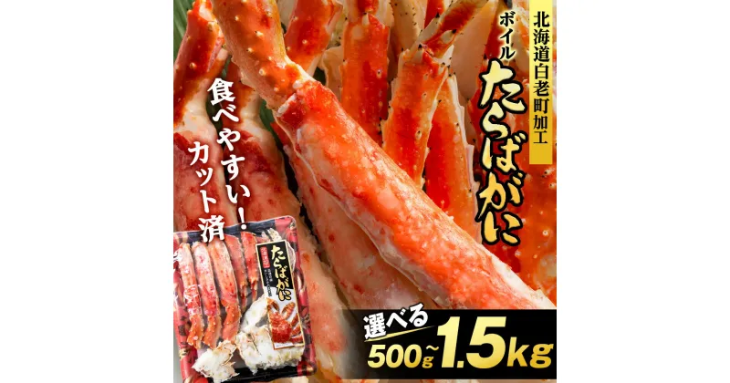 【ふるさと納税】【楽天限定】【発送時期が選べる】タラバ 蟹 カット済み 選べる500g～1.5kg 1パック500g ＜斎藤水産＞ AM075たらばがに タラバガニ たらば蟹 たらばガニ タラバかに たらばカニ 蟹 ボイル カニ 北海道ふるさと納税 白老 kani ボイル おせち