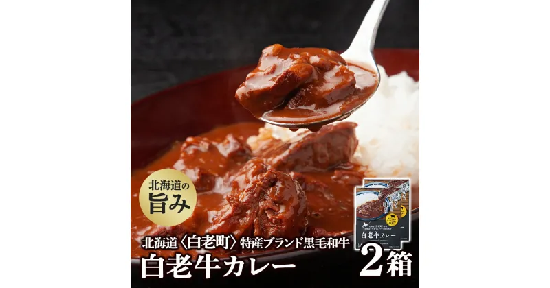 【ふるさと納税】 カレー レトルト 白老牛カレー 180g×2箱 北海道 国産 和牛 ビーフカレー牛肉 黒毛和牛 ビーフカレー カレー 北海道 北海道ふるさと納税 白老 ふるさと納税 北海道