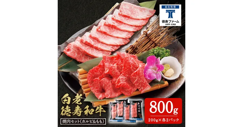 【ふるさと納税】白老牛 焼肉 霜降り カルビ＆モモ セット 合計800g（各400g）特製焼肉のたれ付き 和牛 牛肉 北海道 ギフト ＜徳寿＞ BJ064北海道ふるさと納税 白老 ふるさと納税 北海道