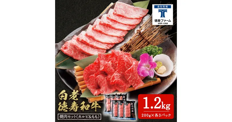 【ふるさと納税】白老牛 焼肉 霜降り カルビ＆モモ セット 合計1.2kg（各600g）特製焼肉のたれ付き 和牛 牛肉 北海道 ギフト ＜徳寿＞ BJ065北海道ふるさと納税 白老 ふるさと納税 北海道