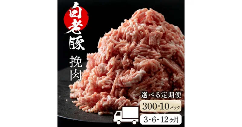 【ふるさと納税】【選べる定期便】北海道産 白老豚 挽肉 300g×10パック BV040挽肉 加工肉 ミンチ 豚肉 白老豚 白老 北海道 北海道ふるさと納税 白老 ふるさと納税 北海道