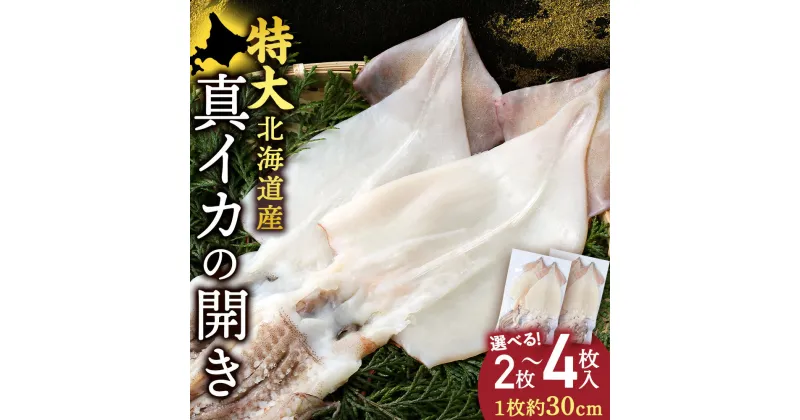 【ふるさと納税】北海道産 真イカ開き(加熱用) 選べる2枚～4枚 1パック2枚入り〈斉藤水産〉AM093 AM094いか 烏賊 イカ 真いか 真イカ 開き 加熱用 パック 海産物 北海道ふるさと納税 白老 ふるさと納税 北海道