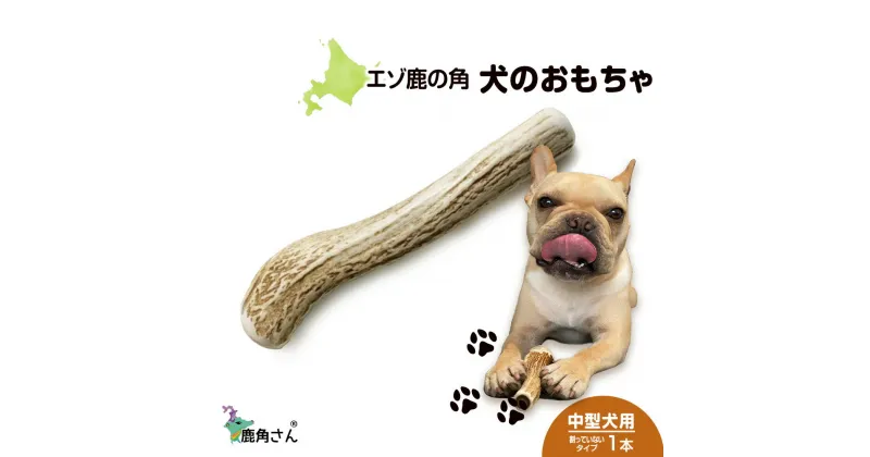 【ふるさと納税】鹿の角 エゾシカ 犬のおもちゃ 『鹿角さん』 中型犬用 割っていないタイプ 1本 CB040犬 ペット おもちゃ 鹿角 エゾシカ ドッグガム 北海道 北海道ふるさと納税 白老 ふるさと納税 北海道