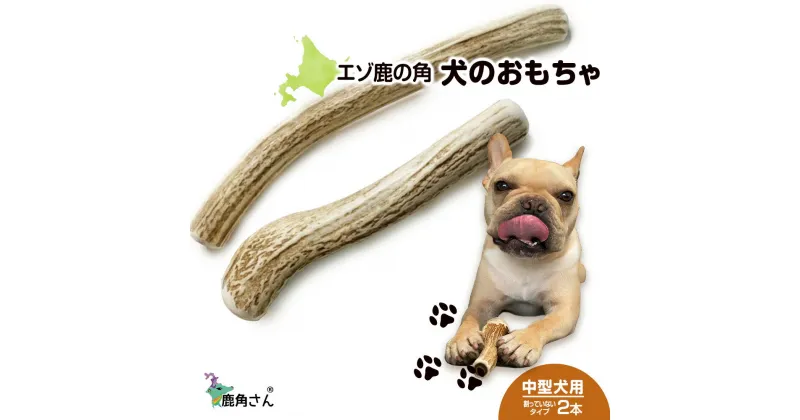 【ふるさと納税】鹿の角 エゾシカ 犬のおもちゃ 『鹿角さん』 中型犬用 割っていないタイプ 2本 CB041犬 ペット おもちゃ 鹿角 エゾシカ ドッグガム 北海道 北海道ふるさと納税 白老 ふるさと納税 北海道