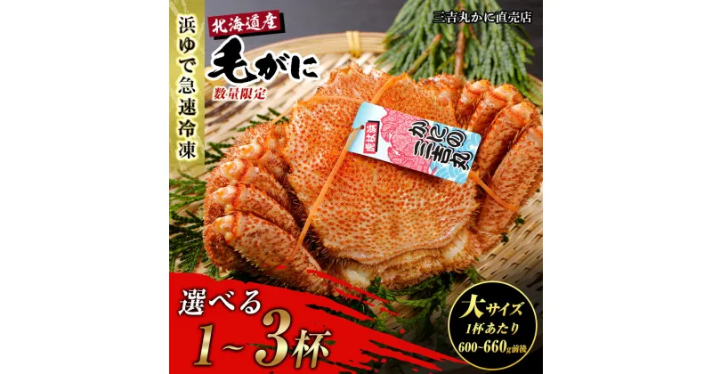 【ふるさと納税】【大サイズ】北海道産 冷凍ボイル毛ガニ 選べる1尾～3尾 (1尾600g-660g前後)毛がに 毛ガニ 毛蟹 蟹 カニ 北海道ふるさと納税 白老 ふるさと納税 北海道