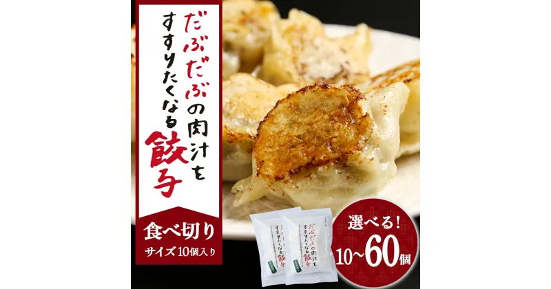 【ふるさと納税】だぶだぶの肉汁をすすりたくなる餃子 10個（10個入×1パック） ぎょうざ 冷凍 ギョウザ おつまみ おかず 中華 惣菜 BE011