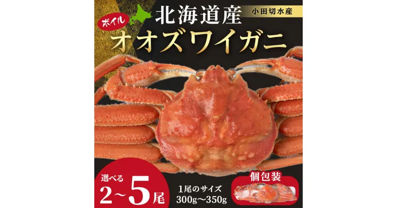 【ふるさと納税】北海道産 大ズワイ 選べる2尾～5尾 1尾300g～350g ＜斉藤水産＞ オオズワイ 蟹 かに カニ ボイル AM113冷凍 オオズワイガニ ずわい蟹 オオずわいガニ オオズワイ 蟹 姿 カニ ボイル 北海道ふるさと納税 白老 ふるさと納税 北海道