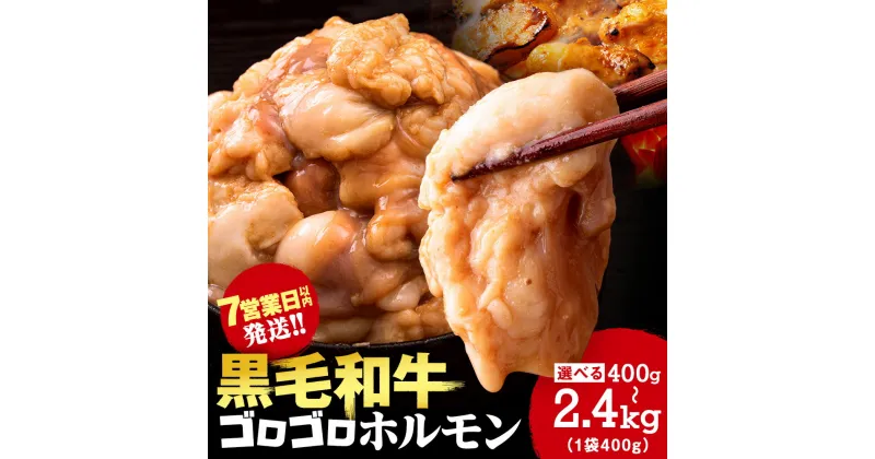 【ふるさと納税】白老産黒毛和牛 味噌焼肉用MIXホルモン 選べる400g～2.4kg 1パック400g 7日営業日以内発送 焼肉 黒毛和牛 小分け 焼肉セット ホルモン ミックスホルモン 人気 数量限定 たっぷり大満足 グルメ 訳あり 国産 北海道産 CK009