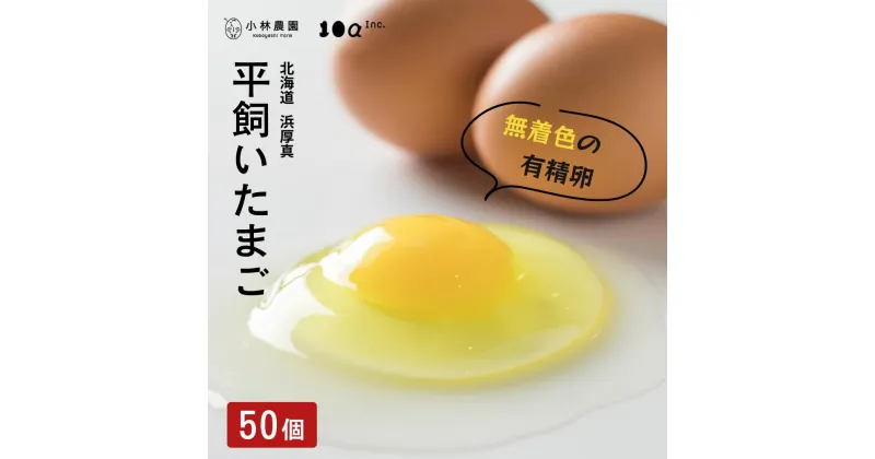 【ふるさと納税】平飼い有精卵 50個 無投薬 安心安全 こだわり たまご 玉子 生卵 鶏卵 タマゴ 北海道 厚真町 国産 【送料無料】