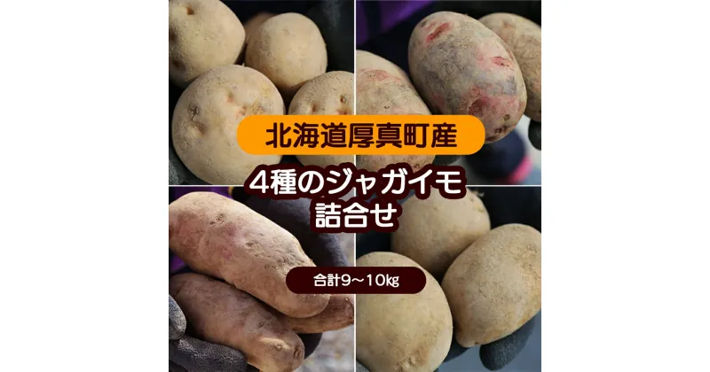 【ふるさと納税】令和6年北海道厚真産・魅惑の4種類じゃがいも食べ比べセット《数量限定》キタアカリ、デストロイヤー、ノーザンルビー、こがね丸