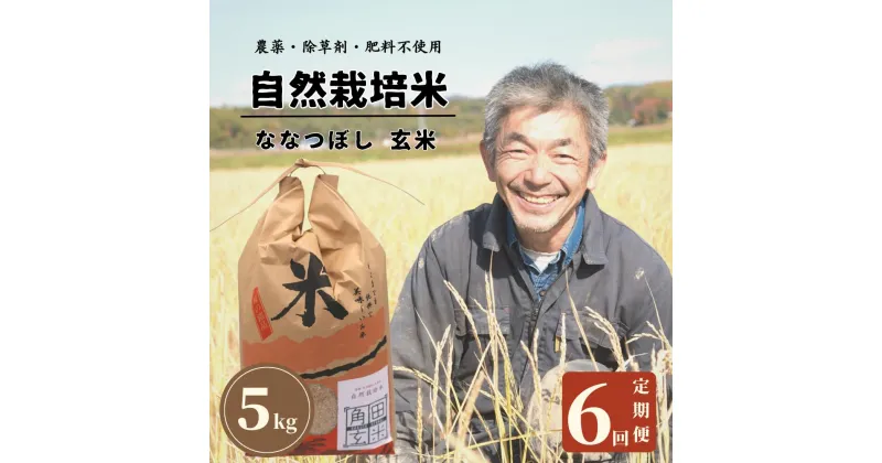 【ふるさと納税】＜令和6年産新米＞北海道厚真町産　農薬不使用・自然栽培の角田玄米　5kg（ななつぼし)定期便6ヵ月コース