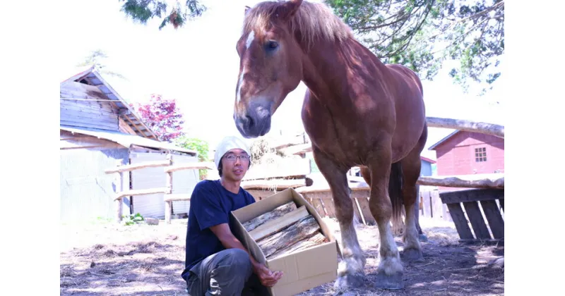 【ふるさと納税】＜馬の林業＞西埜馬搬の北海道ナラ薪20kg