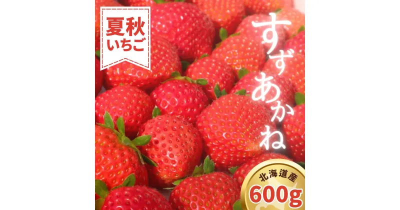 【ふるさと納税】【配送地域限定】夏秋イチゴ「すずあかね」計600g　北海道厚真町こばやしいちご農園 イチゴ 果物　フルーツ 生いちご 北海道 厚真町 国産 【送料無料】