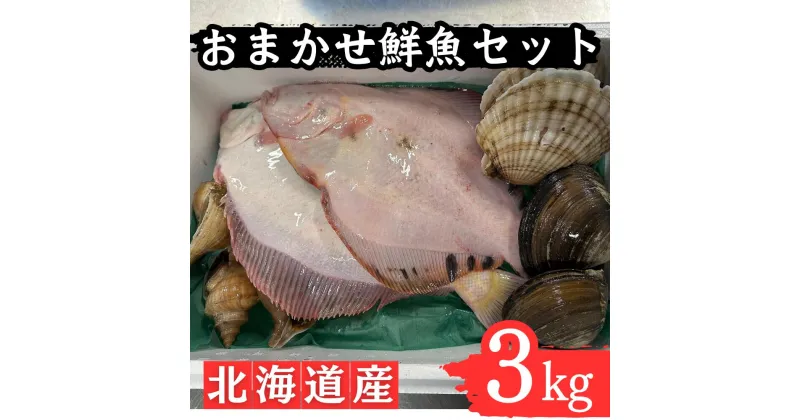 【ふるさと納税】漁港直送！季節のおまかせ鮮魚 3kgセット 詰め合わせ 天然 新鮮 生 魚 貝 海鮮 海産 カレイ ホタテ ホッキ ツブ など 刺身 煮付 北海道 厚真町【送料無料】