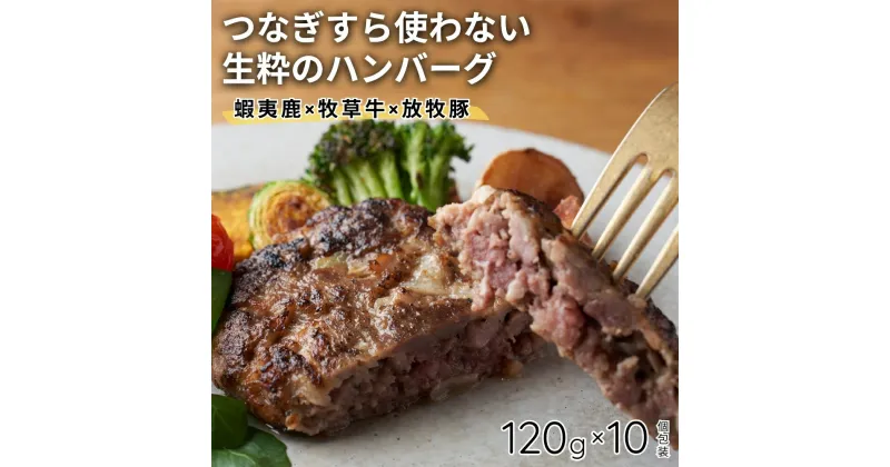 【ふるさと納税】蝦夷鹿と牧草牛と放牧豚のハンバーグ10個セット【送料無料】