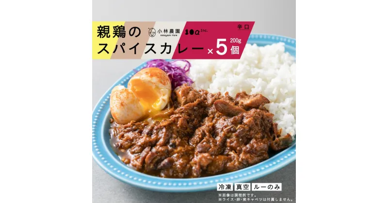 【ふるさと納税】親鶏のスパイスカレー（辛口）5個セット お取り寄せ グルメ 北海道 厚真町 国産 【送料無料】