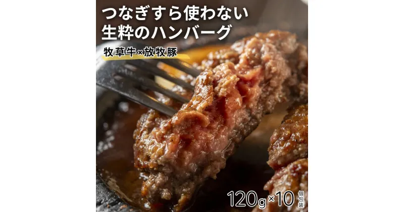 【ふるさと納税】放牧豚と牧草牛のハンバーグ 10個セット【送料無料】