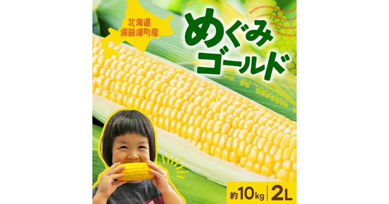 【ふるさと納税】北海道産 青野農園 めぐみ ゴールド 2Lサイズ 約10kg 先行受付 8月下旬頃お届け スイートコーン 北海道 とうもろこし トウモロコシ コーン 恵味 旬 朝採れ 新鮮 野菜 農作物 産地直送 甘い 送料無料　 国産 　お届け：2025年8月17日から8月30日頃まで