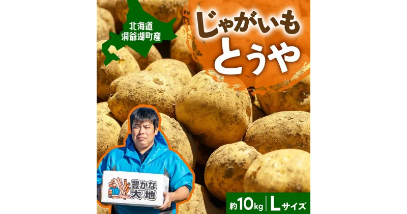 【ふるさと納税】北海道産 青野農園 じゃがいも とうや Lサイズ 約10kg 10月初旬～12月中旬頃お届け 北海道 ジャガイモ トウヤ 馬鈴薯 ポテト 芋 いも イモ 黄色 旬 野菜 農作物 産地直送 お取り寄せ 送料無料　 国産 　お届け：2024年10月初旬から12月中旬まで