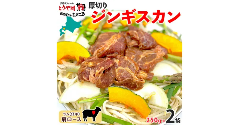 【ふるさと納税】北海道 厚切り 肩ロース 生ラム ジンギスカン 250g×2袋 ラム タレ たれ 羊肉 贅沢 鍋 焼肉 ジューシー おかず 本格的 簡単 調理 グルメ お取り寄せ お肉屋 たどころ 送料無料　お肉　お届け：2023年11月より順次出荷