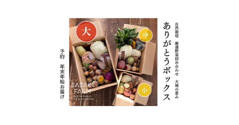 【ふるさと納税】旬の野菜詰め合わせ ～ありがとうBOX2024・大～ 12月1日～1月31日頃お届け 北海道 野菜 やさい 詰め合わせ セット 北海道産 常備菜 加工品 自然栽培 佐々木ファーム 産地直送 洞爺湖町　お届け：2024年12月1日～2025年1月31日まで