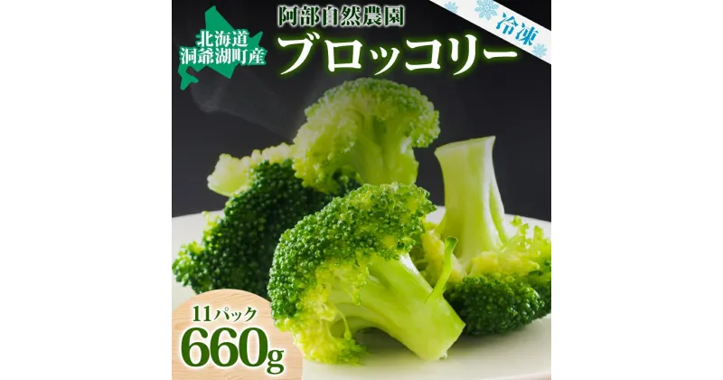 【ふるさと納税】役に立ちます 冷凍カット野菜 ブロッコリー60g×11袋　野菜