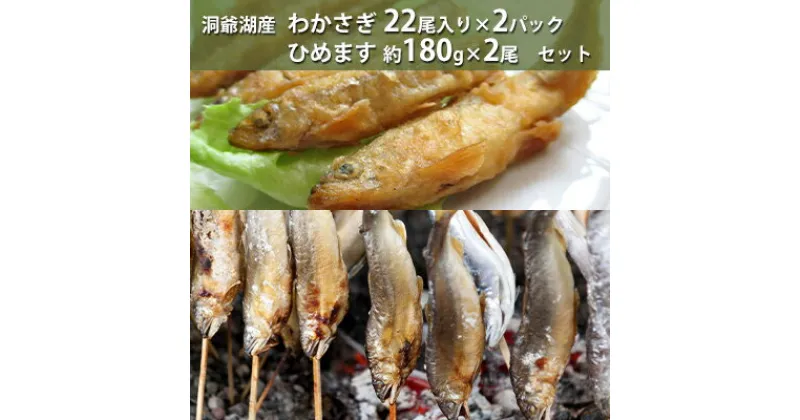 【ふるさと納税】洞爺湖産わかさぎ(22尾入り×2P)・ひめます約180g×2尾セット　魚貝類・川魚