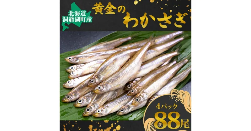 【ふるさと納税】洞爺湖産黄金のわかさぎ 22尾×4P　魚貝類・川魚