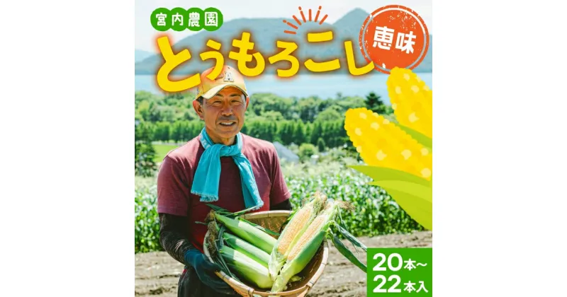 【ふるさと納税】北海道産 とうもろこし 糖度20度以上 恵味 めぐみ 2L 20～22本 7月下旬～8月下旬頃お届け 先行受付 朝採り トウモロコシ スイート コーン 甘い 旬 夏 野菜 新鮮 産地直送 宮内農園 送料無料 洞爺湖町　洞爺湖町　お届け：2025年7月下旬から8月下旬まで