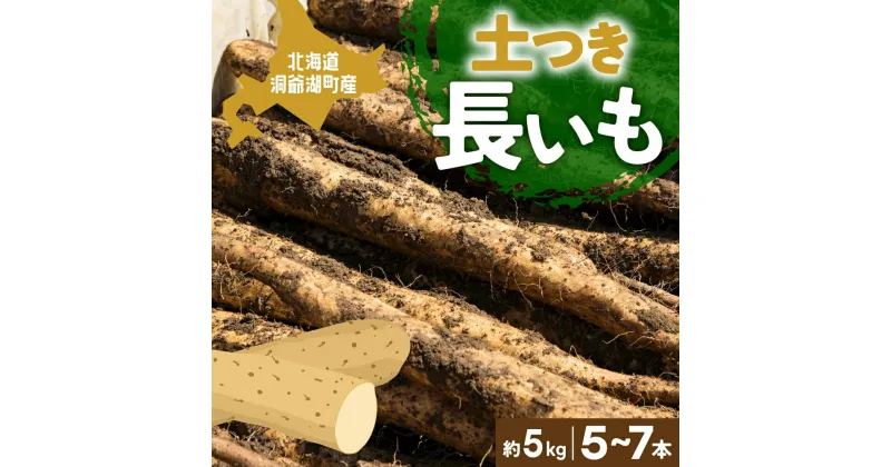 【ふるさと納税】北海道産 青野農園 土つき 長いも 約5kg 5～7本 11月下旬～12月中旬ごろお届け ながいも 土付き 北海道 長芋 自然薯 とろろ いも イモ 旬 野菜 農作物 産地直送 お取り寄せ 送料無料　野菜 根菜 北海道産 とろろご飯　お届け：2024年11月下旬～12月中旬まで