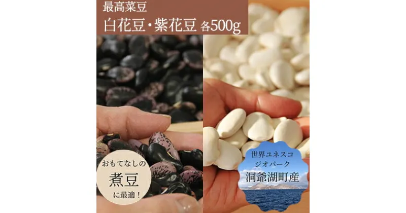 【ふるさと納税】北海道 洞爺湖町産 高級菜豆 2種 白花豆 500g 紫花豆 500g 計1kg 12月中旬よりお届け 花豆 豆 マメ まめ 大粒 甘い 北海道産 国産 煮豆 スープ 煮込み料理 常温 お取り寄せ 送料無料 【 洞爺湖町 】　お届け：2024年12月中旬より順次出荷