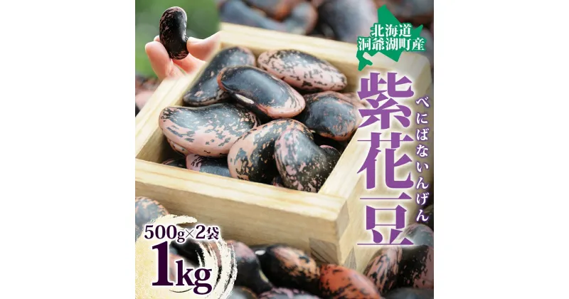 【ふるさと納税】北海道 洞爺湖町産 高級菜豆の紫花豆 500g 2袋 計1kg 12月中旬よりお届け 紫花豆 菜豆 むらさきはなまめ 高級 菜豆煮豆 豆 まめ マメ 乾物 長期保存 お取り寄せ グルメ ギフト 送料無料　豆　お届け：2024年12月中旬より順次出荷