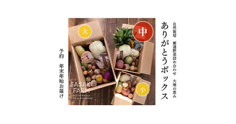 【ふるさと納税】旬の野菜詰め合わせ ～ありがとうBOX2024・中～ 12月1日～1月31日頃お届け 北海道 野菜 やさい 詰め合わせ セット 北海道産 常備菜 加工品 自然栽培 佐々木ファーム 産地直送 洞爺湖町　お届け：2024年12月1日～2025年1月31日まで