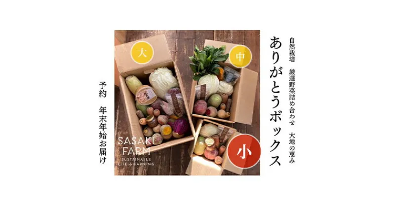 【ふるさと納税】旬の野菜詰め合わせ ～ありがとうBOX2024・小～ 12月1日～1月31日頃お届け 北海道 野菜 やさい 詰め合わせ セット 北海道産 常備菜 加工品 自然栽培 佐々木ファーム 産地直送 洞爺湖町　お届け：2024年12月1日～2025年1月31日まで