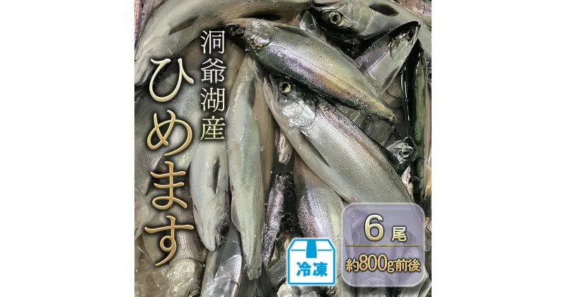 【ふるさと納税】洞爺湖産ひめます6尾(約800g前後)冷凍　洞爺湖町