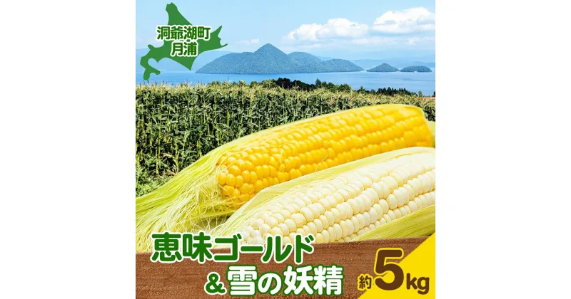 【ふるさと納税】北海道 月浦 めぐみ ゴールド 雪の妖精 5kg 先行受付 8月下旬～9月中旬頃にお届け とうもろこしトウモロコシ とうきび コーン 恵味 スイート コーン 旬 野菜 朝採り 産地直送 青山農園 送料無料 洞爺湖　洞爺湖町　お届け：2025年8月下旬～9月中旬頃まで