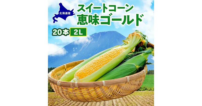 【ふるさと納税】 北海道産 スイート コーン めぐみゴールド 2Lサイズ 20本 先行受付 8月上旬～末頃のお届け とうもろこし 恵味 めぐみ トウモロコシ 旬 完熟 朝もぎ 野菜 産地直送 お取り寄せ 北海道 丸田農園 送料無料 洞爺湖　洞爺湖町　お届け：2025年8月上旬～8月末