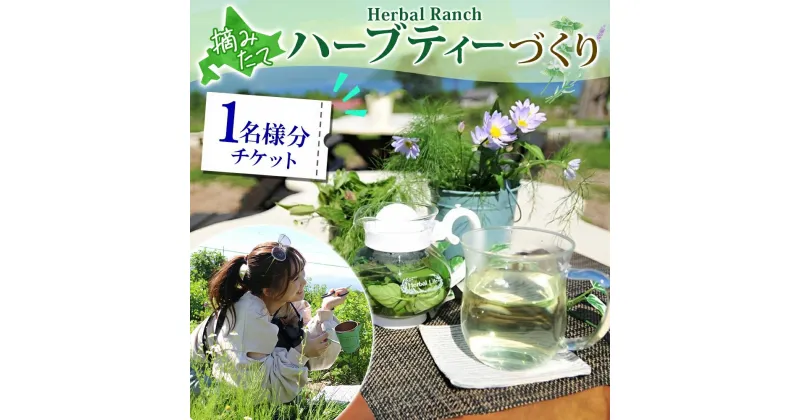 【ふるさと納税】北海道 摘みたて ハーブティー 作り 体験 ハーブ ティー お茶 紅茶 フレッシュ オリジナル ハーブ畑 天然 無農薬 リラックス 癒し リラクゼーション 健康 ハーバルランチ 送料無料 洞爺湖　洞爺湖町