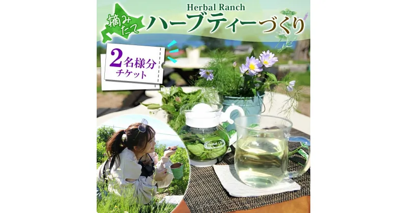 【ふるさと納税】北海道 摘みたて ハーブティー 作り 体験 2枚 ハーブ ティー お茶 紅茶 フレッシュ オリジナル ハーブ畑 天然 無農薬 リラックス 癒し リラクゼーション ハーバルランチ 送料無料 洞爺湖　洞爺湖町