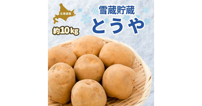 【ふるさと納税】北海道 雪蔵 とうや L～LM 約10kg 2025年2月中旬より順次お届け じゃがいも ジャガイモ じゃが芋 馬鈴薯 芋 いも イモ 旬 雪蔵貯蔵 野菜 農作物 カレー シチュー肉じゃが 北海道産 丸田農園 送料無料　お届け：2025年2月中旬～2025年3月末日まで